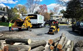 Best Emergency Tree Removal  in Menlo Park, CA